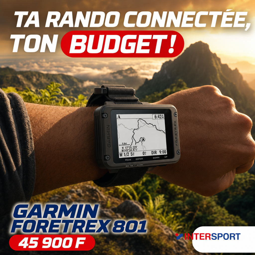 Intersport : Garmin Foretrex 801 randonneur Mont Aoraï