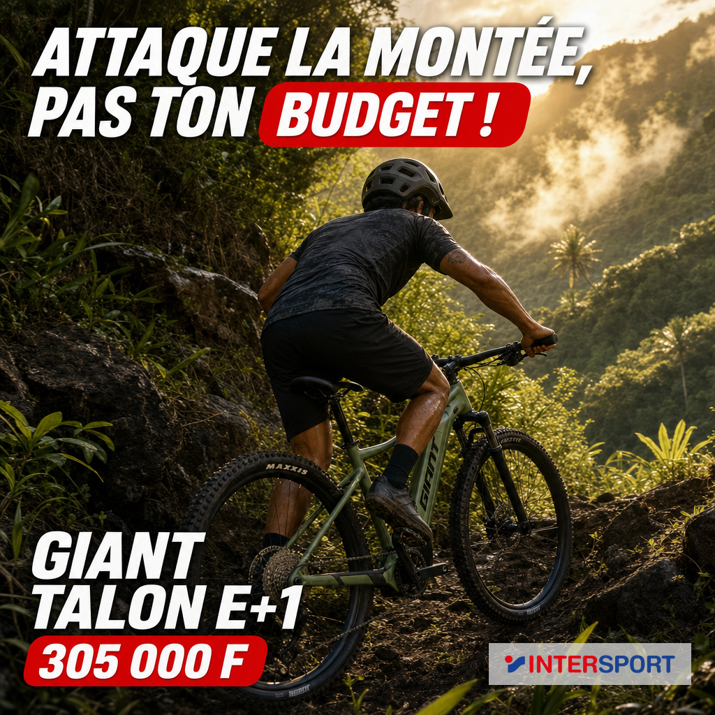 Intersport marketing parfait : Giant Talon E+1 vetetiste Mont Aoraï golden hour