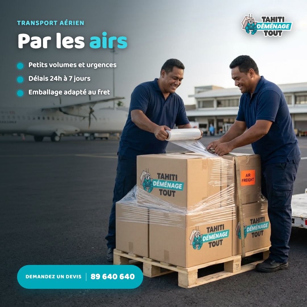 Tahiti Demenage Tout : vue aerienne